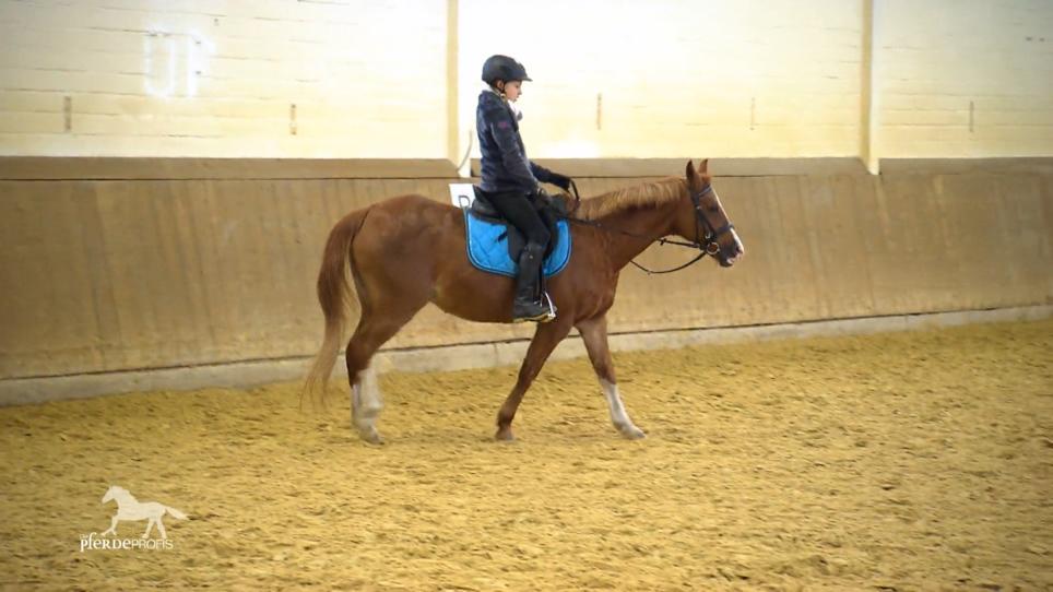 Marlene kann Snykers endlich reiten Marlene kann Snykers endlich reiten