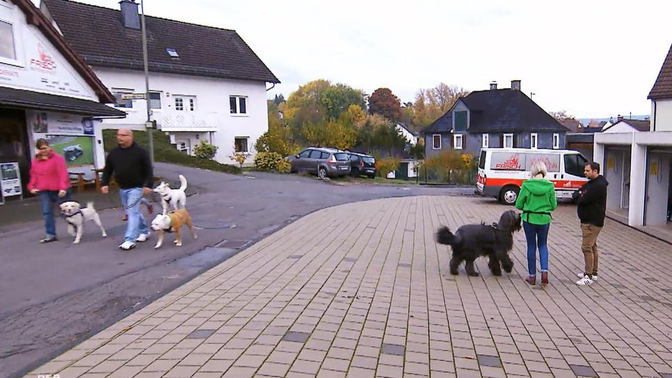 Rüde Poldi dreht nicht mehr durch Rüde Poldi dreht nicht mehr durch