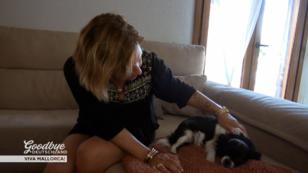 Fellnase Gina hat es überstanden Fellnase Gina hat es überstanden