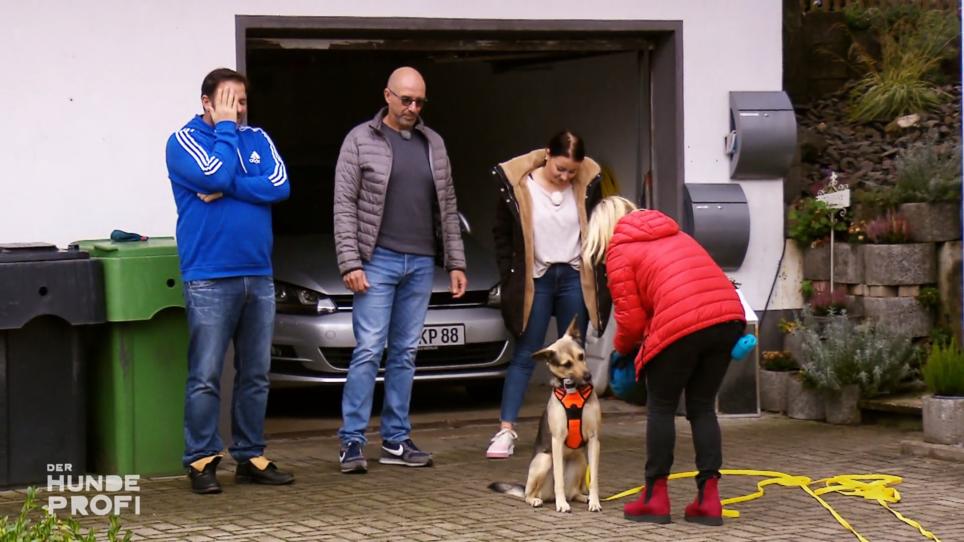 Ausreißerin Marla soll ohne Leine apportieren Ausreißerin Marla soll ohne Leine apportieren