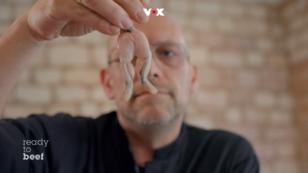 Jens Jakob bringt Froschschenkel mit Jens Jakob bringt Froschschenkel mit