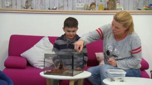 Wer füttert die Spinne? Wer füttert die Spinne?