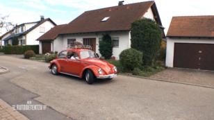 Noch einmal jung sein Noch einmal jung sein