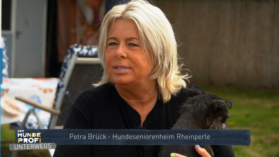 Was geschieht mit alten Hunden, die niemand will? Was geschieht mit alten Hunden, die niemand will?