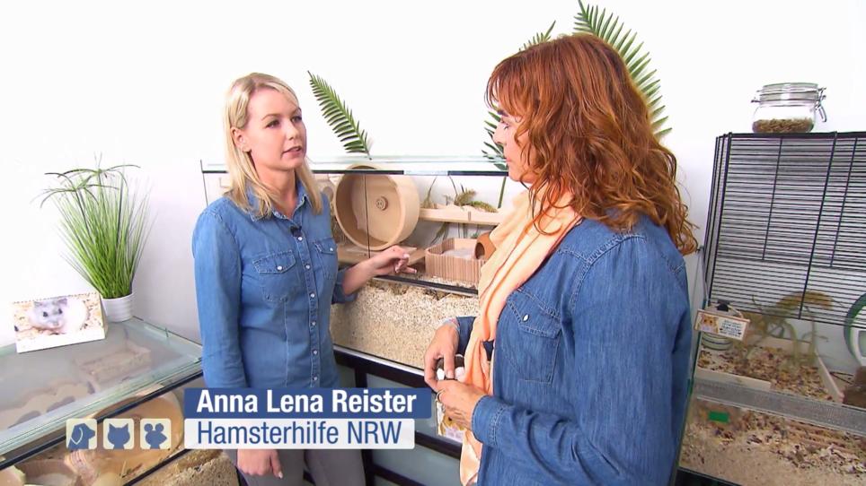 Diana Eichhorn räumt auf mit Hamster-Mythen Diana Eichhorn räumt auf mit Hamster-Mythen