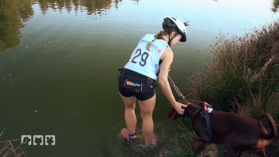 Joanas Hündin will nicht ins Wasser Joanas Hündin will nicht ins Wasser