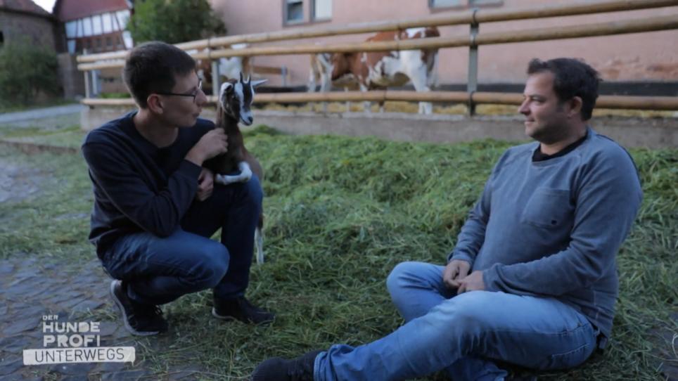 Henry hilft der Kontakt zu Tieren Henry hilft der Kontakt zu Tieren