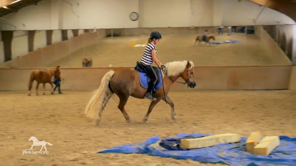 Das Reiten funktioniert einwandfrei Das Reiten funktioniert einwandfrei