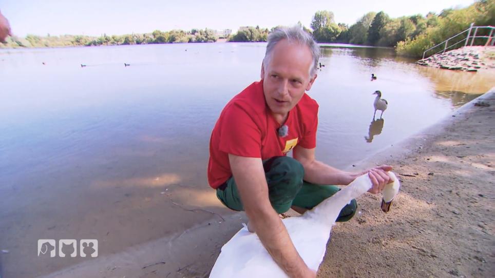 Ein dringender Fall für die Berliner Tierschützer Ein dringender Fall für die Berliner Tierschützer