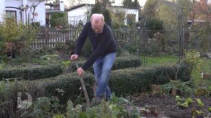 Volker liebt seinen eigenen Garten Volker liebt seinen eigenen Garten