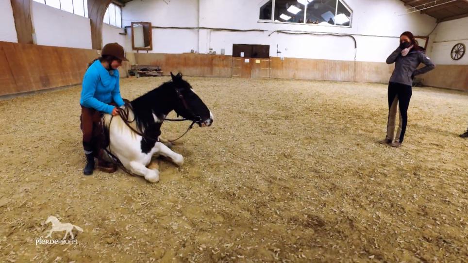 Joey legt sich gerne beim Reiten auf den Boden Joey legt sich gerne beim Reiten auf den Boden