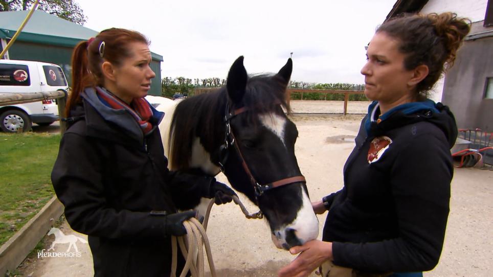 Physiotherapeutin Claudia schaut sich Joey an Physiotherapeutin Claudia schaut sich Joey an