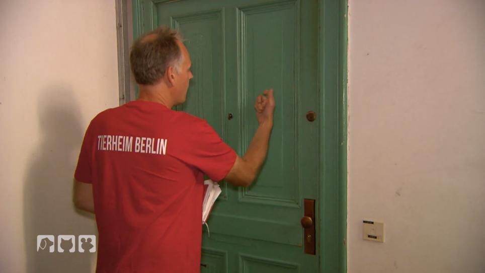 Nachbarn melden dem Tierheim verwahrloste Katzen Nachbarn melden dem Tierheim verwahrloste Katzen