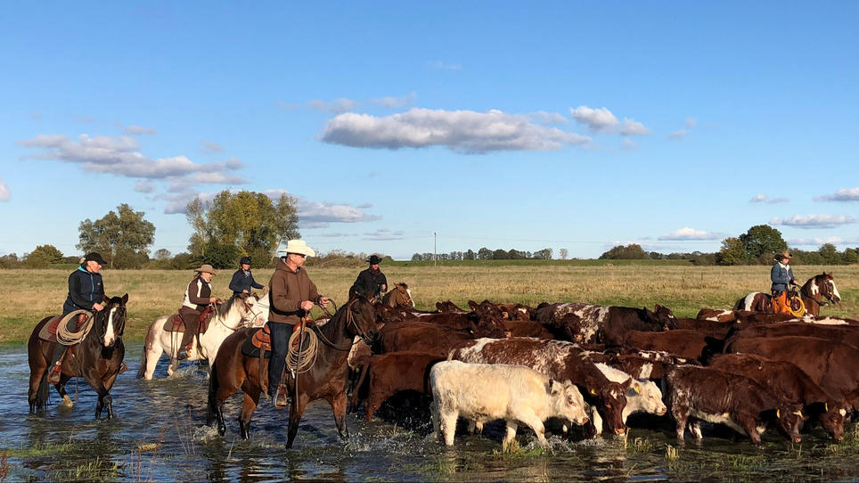 Diana Eichhorn übernimmt echte Cowgirl-Aufgaben Diana Eichhorn übernimmt echte Cowgirl-Aufgaben