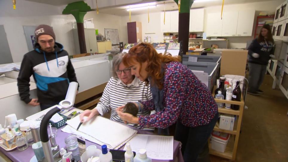 Monika Thomas rettet kranke und verletze Igel Monika Thomas rettet kranke und verletze Igel