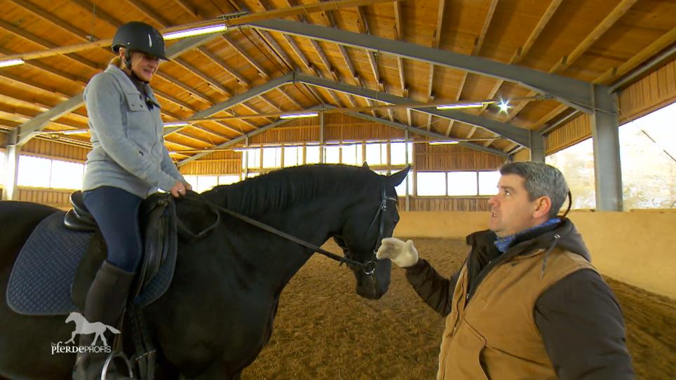 Lässt der Wallach Manu auf sich reiten? Lässt der Wallach Manu auf sich reiten?