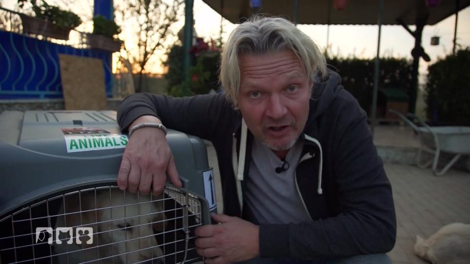 Frank & Marley reisen nach Deutschland Frank & Marley reisen nach Deutschland