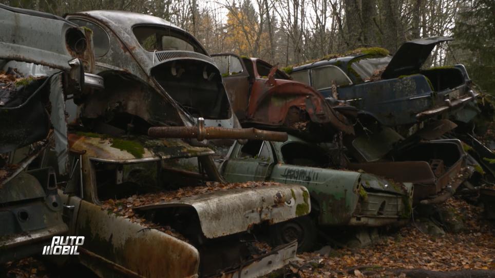 Ein echter Oldtimer-Friedhof Ein echter Oldtimer-Friedhof