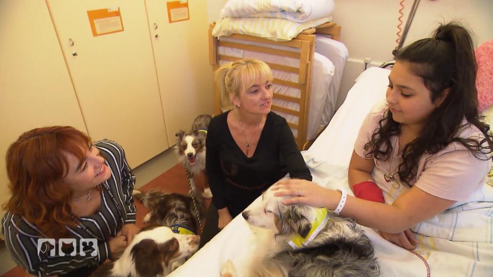 Diese Hunde schenken kleinen Patienten Lebensfreude Diese Hunde schenken kleinen Patienten Lebensfreude