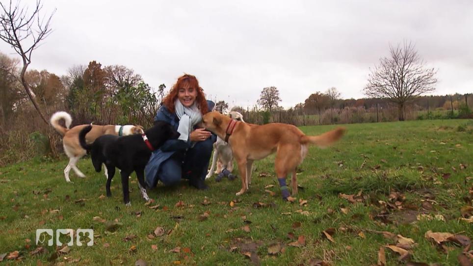 Diana Eichhorn erklärt, was Hunde mit Handicap brauchen Diana Eichhorn erklärt, was Hunde mit Handicap brauchen