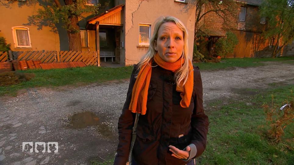 Können die Pferde in ein neues Zuhause überführt werden? Können die Pferde in ein neues Zuhause überführt werden?