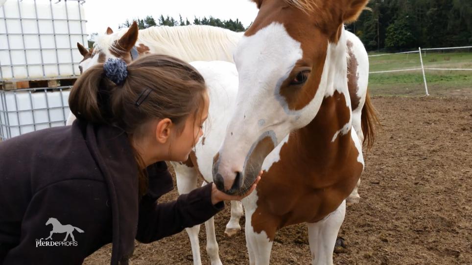 Ein Pferd als bester Freund – und ernste Gefahr! Ein Pferd als bester Freund – und ernste Gefahr!