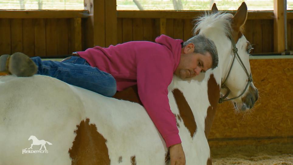 Indio soll langam ans Reiten gewöhnt werden Indio soll langam ans Reiten gewöhnt werden