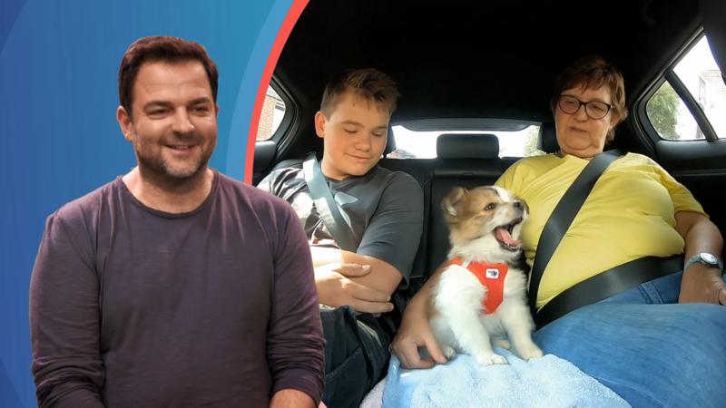 Ein Welpe soll die Patchwork-Familie komplettieren