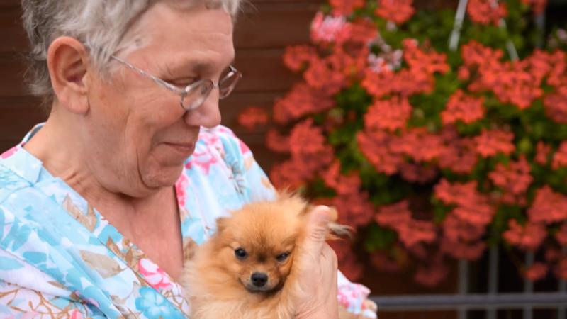 Glücksgefühle: Brigitte quillt über vor Liebe