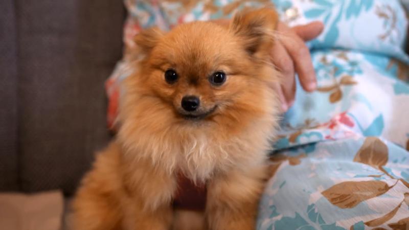 Brigitte und Tula können einander viel geben