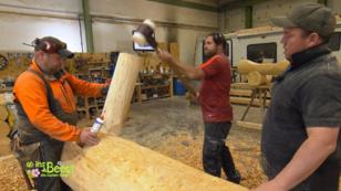 Das Holzpferd bekommt Beine Das Holzpferd bekommt Beine