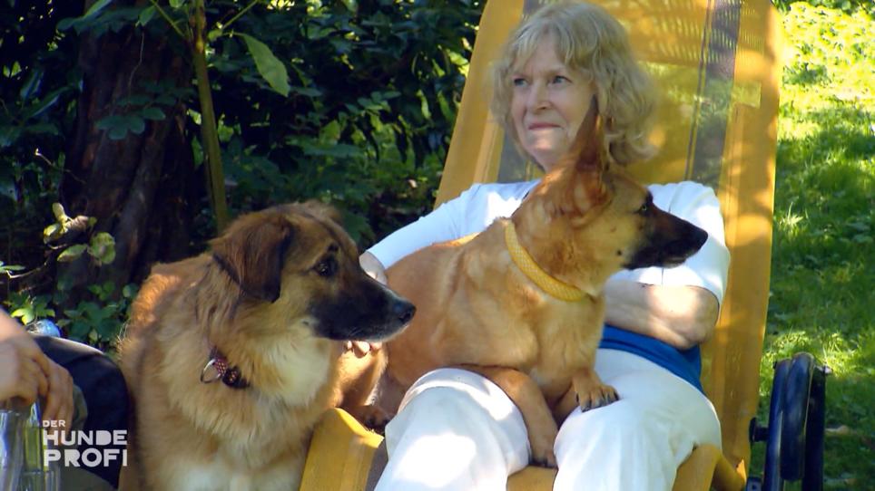 Bleibt diese Idylle oder schlagen die Hunde wieder an? Bleibt diese Idylle oder schlagen die Hunde wieder an?