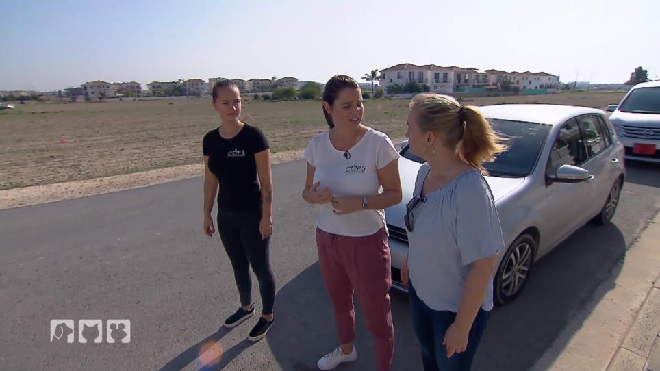 Birga sucht auf Zypern nach verschwundenen Straßenkatzen Birga sucht auf Zypern nach verschwundenen Straßenkatzen