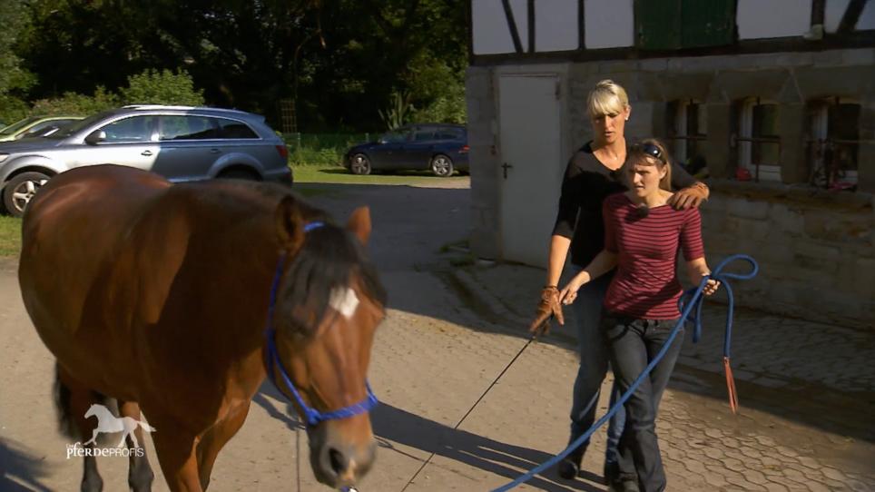 Katja gibt Pferd und Reiter Hilfestellung beim Training Katja gibt Pferd und Reiter Hilfestellung beim Training