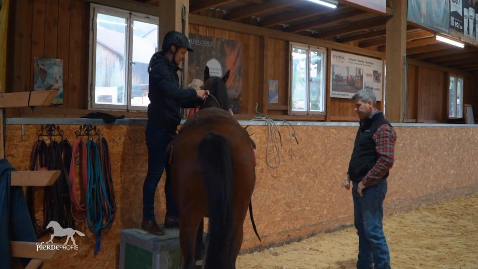 Wird Pedro Danni auf sich reiten lassen? Wird Pedro Danni auf sich reiten lassen?