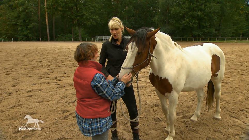 Wird Ute jemals wieder auf Dakota reiten können? Wird Ute jemals wieder auf Dakota reiten können?