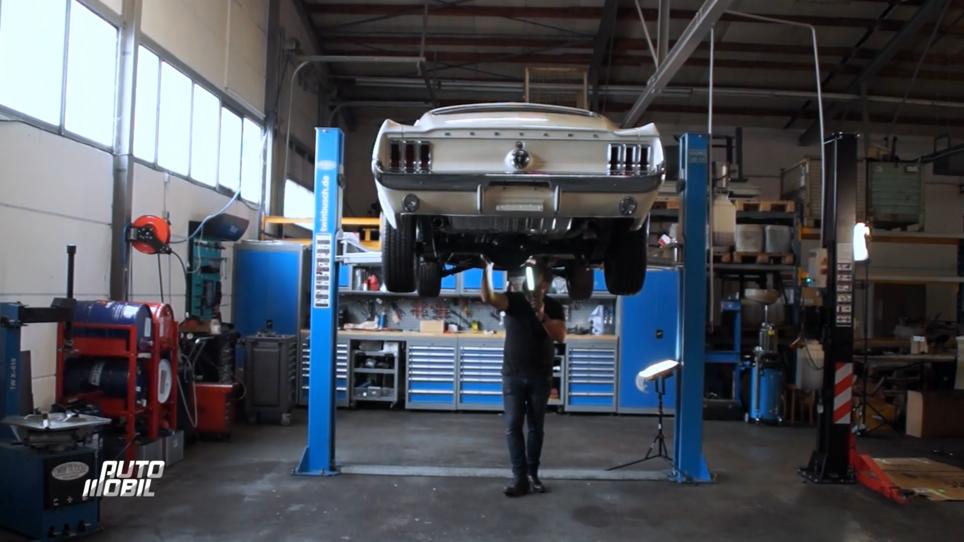 Orkan ist in Washington um einen Mustang zu importieren Orkan ist in Washington um einen Mustang zu importieren