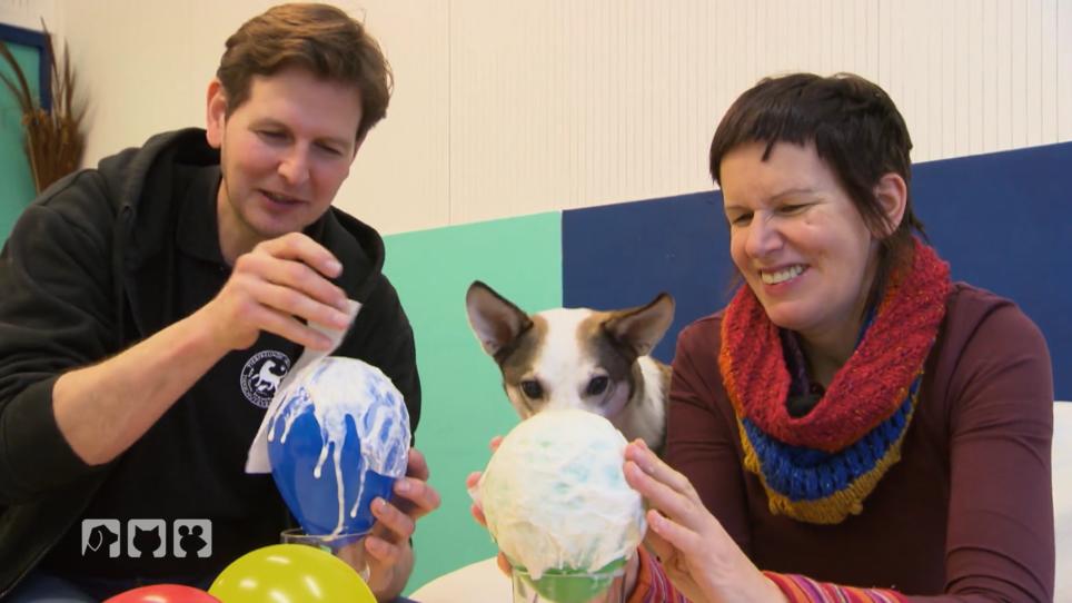 Bastelideen für einen spannenden Hundealltag Bastelideen für einen spannenden Hundealltag