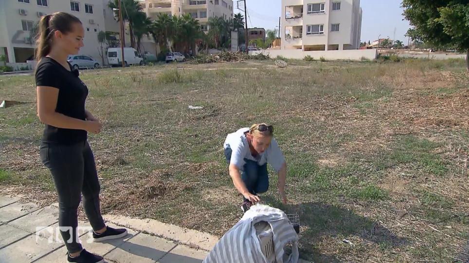 Zwei Katzen dürfen zurück in die Freiheit Zwei Katzen dürfen zurück in die Freiheit