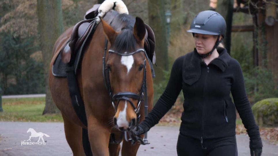 Xenia und Kariani wagen einen Neuanfang Xenia und Kariani wagen einen Neuanfang