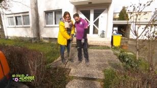 Marens Vorgarten wird abgerissen Marens Vorgarten wird abgerissen