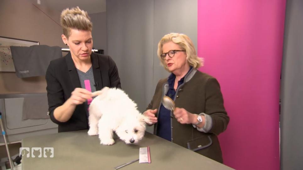 Franziska Knabenreich gibt wertvolle Tipps Franziska Knabenreich gibt wertvolle Tipps