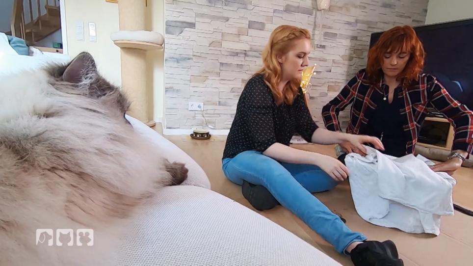 Diana Eichhorn bastelt Katzenspielzeug Diana Eichhorn bastelt Katzenspielzeug