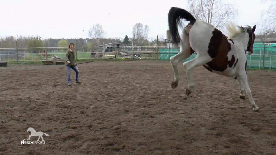 Bernd ist bedient. Bricht er das Training ab? Bernd ist bedient. Bricht er das Training ab?