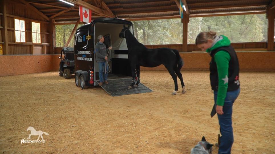 Flocke ist sehr Mutig beim Training mit Bernd Flocke ist sehr Mutig beim Training mit Bernd