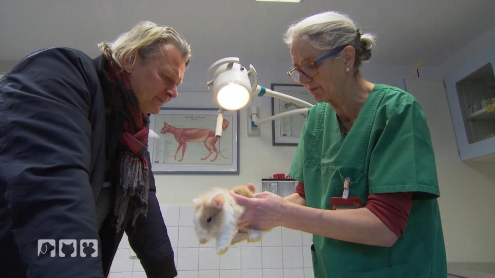 Monikas Tierärztin ist ein bestürzt Monikas Tierärztin ist ein bestürzt