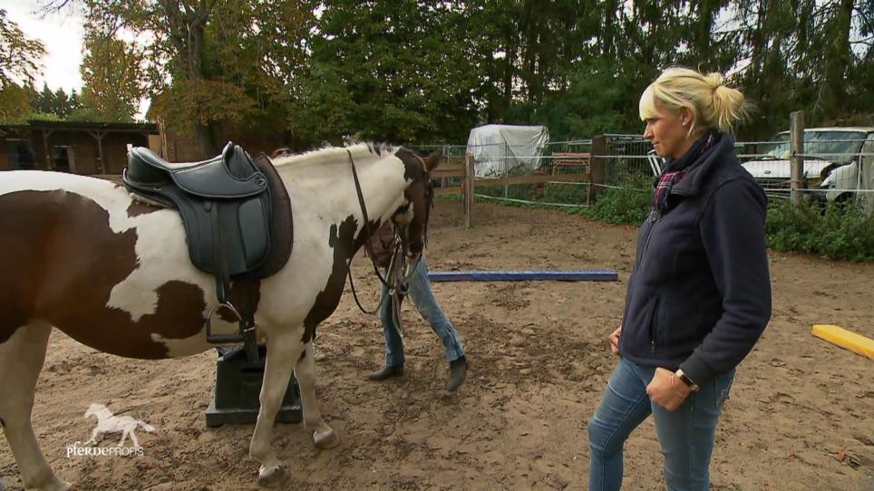 Medea und Avani haben eine Überraschung für Katja! Medea und Avani haben eine Überraschung für Katja!
