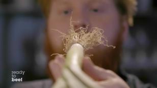 Lukas Mraz bringt "Dicken Lauch" mit Lukas Mraz bringt "Dicken Lauch" mit
