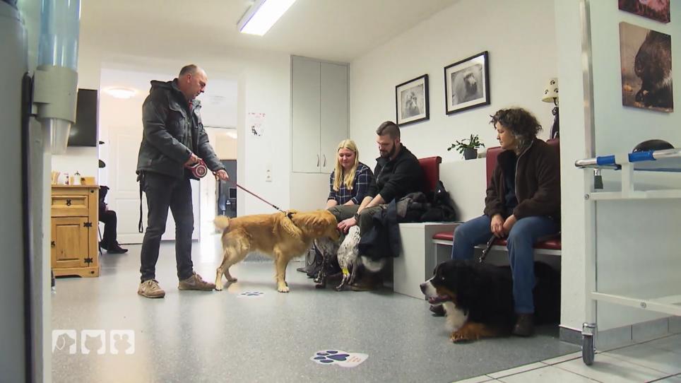 Uta Rönneburg sucht Blutspender für die Tierklinik Lüneburg Uta Rönneburg sucht Blutspender für die Tierklinik Lüneburg