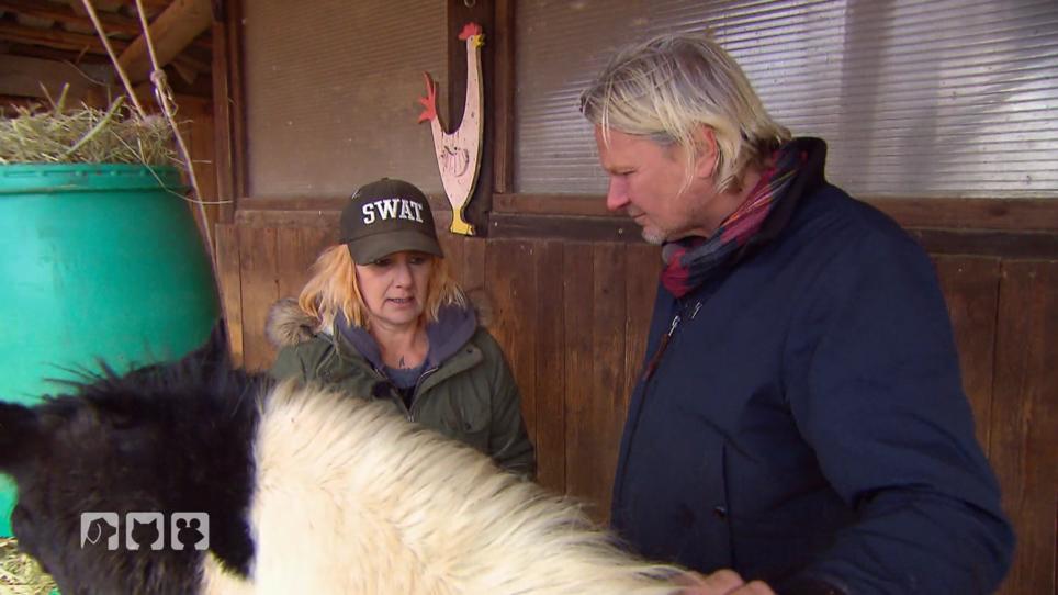 Sabine findet keine neuen Besitzer für ihre Pferde Sabine findet keine neuen Besitzer für ihre Pferde
